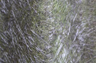 Glaisdale fibreglass roof work